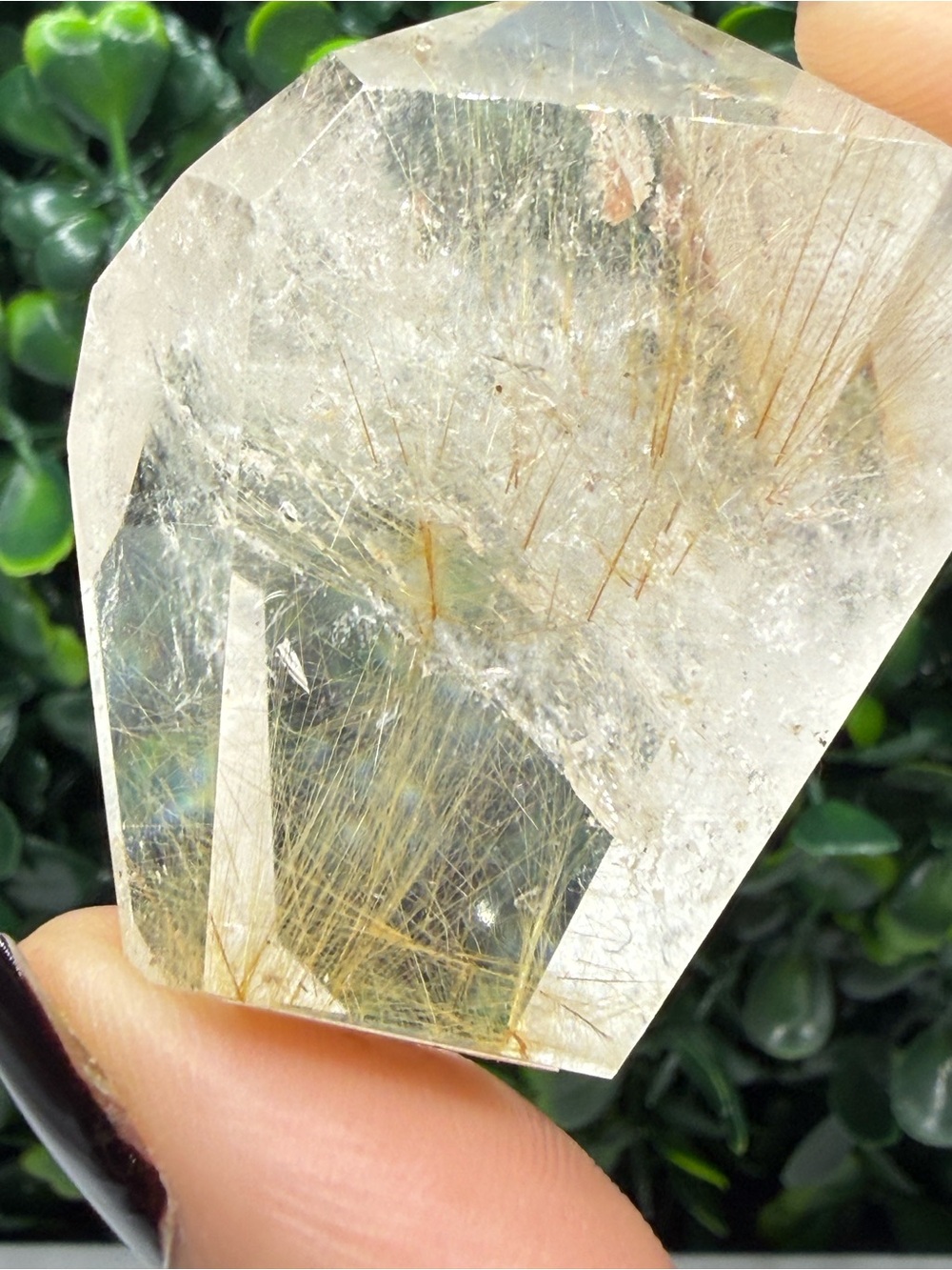 Golden Rutilated Quartz Crystal Point - Picture 6 of 9